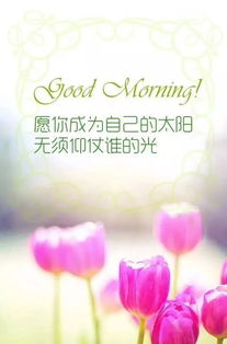 句子,愛(ài)笑,能量