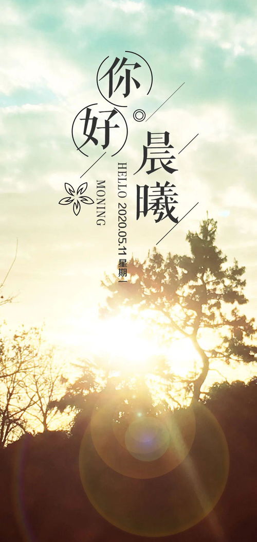 陽(yáng)光心態(tài)正能量的句子,朋友圈正能量的句子和,早安正能量句子和