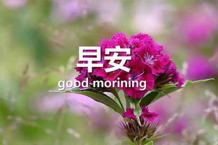 句子,能量,感悟,玩抖音
