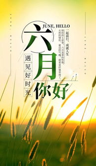 句子,能量,全集,帶字大