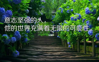 醫生工作勵志的句子正能量