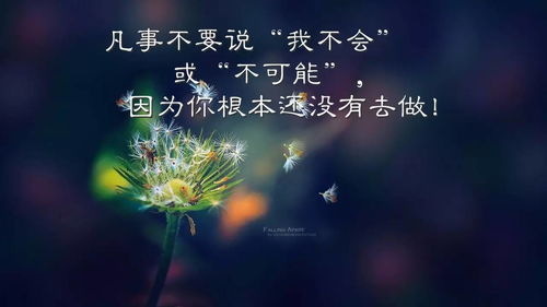 正能量點(diǎn)擊率最高的句子
