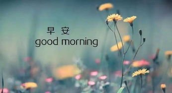 早晨充滿(mǎn)正能量的句子,對生活充滿(mǎn)正能量的句子,充滿(mǎn)正能量句子和配圖