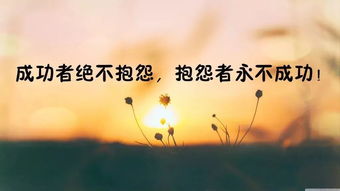 勵志的說(shuō)說(shuō)正能量經(jīng)典句子,早上勵志的說(shuō)說(shuō)正能量經(jīng)典句子,讀書(shū)正能量經(jīng)典勵志句子