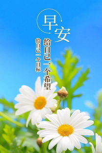 早上問(wèn)好句子祝福正能量,早上問(wèn)好的正能量句子,早上向客戶(hù)問(wèn)好的句子,帶正能量