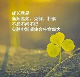 早安心語(yǔ)正能量句子