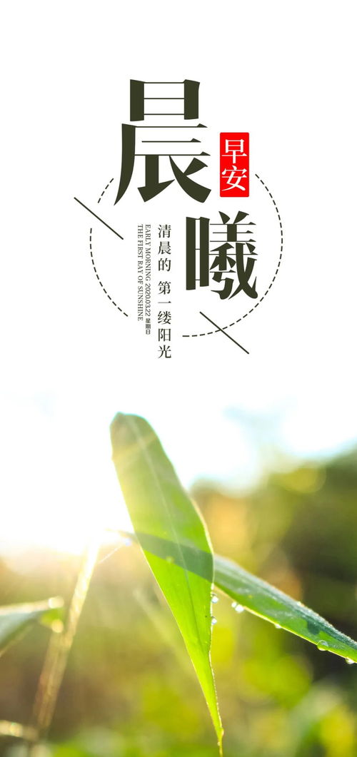 早安幽默帶有正能量的句子說(shuō)說(shuō),早安開(kāi)心幽默正能量的句子,早安幽默正能量的句子說(shuō)說(shuō)心情