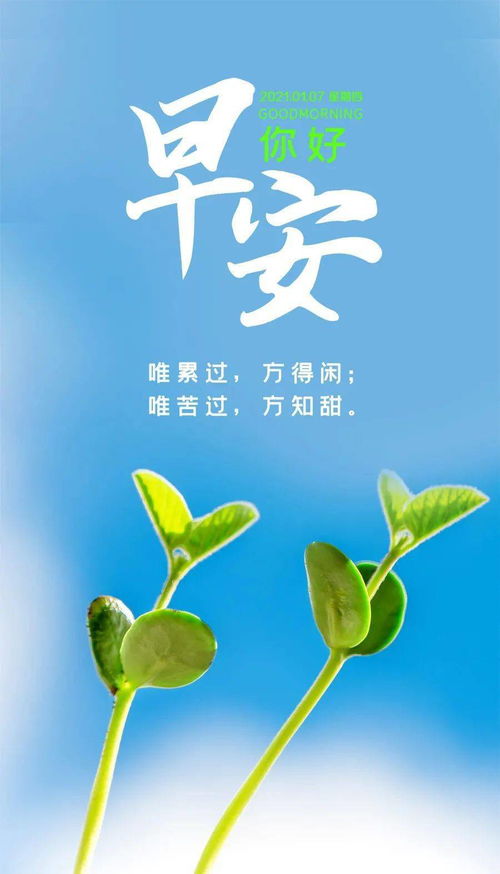 冬天早安語錄正能量句子
