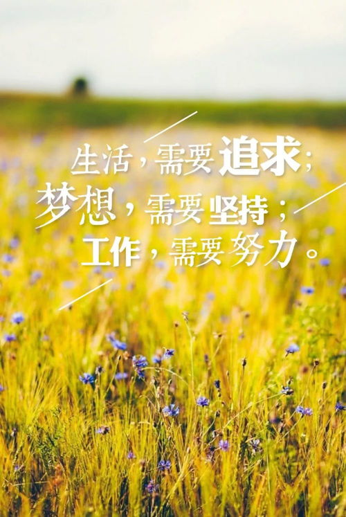 有關(guān)工作的早安心語(yǔ)正能量句子