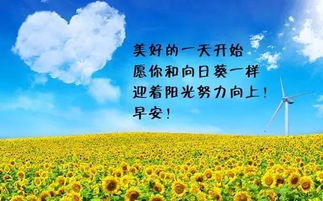 短語(yǔ),句子,能量,兄弟