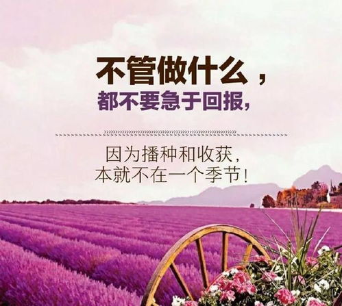 自己生日正能量句子,生日陽(yáng)光心態(tài)正能量的句子,孩子生日正能量句子