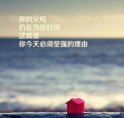 句子,能量,精美