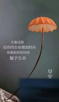 充滿(mǎn)陽(yáng)光的正能量的句子,新的一天新的希望正能量的句子,含有希望的正能量句子