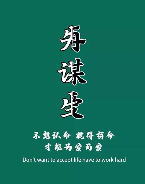 2021正能量的句子經(jīng)典語(yǔ)句奧利給