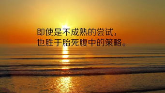 句子,勵志,能量,用心