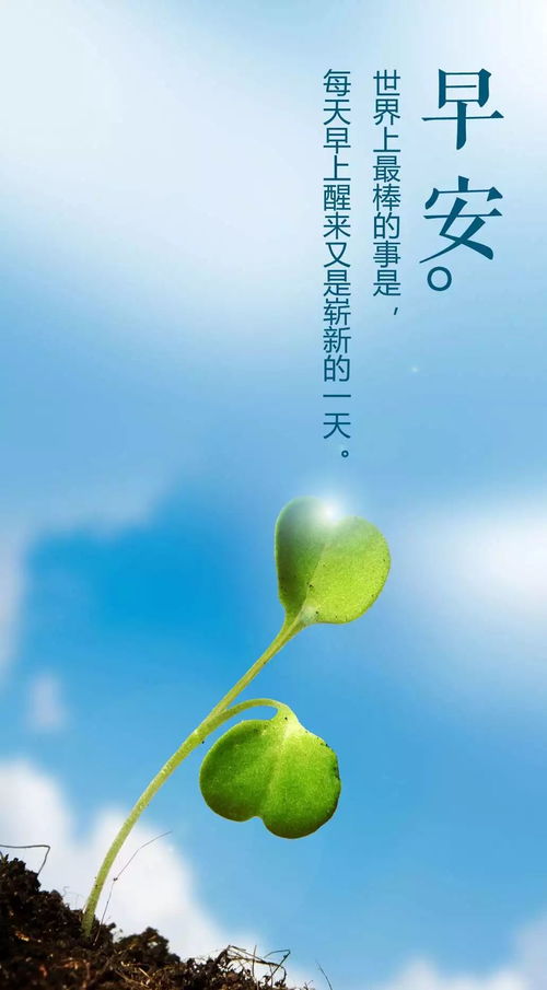 正能量感情句子勵志短句子
