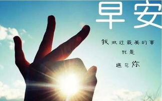 心向陽光正能量的句子朋友圈,陽光勵(lì)志正能量的句子發(fā)朋友圈,充滿正能量陽光的發(fā)朋友圈的句子