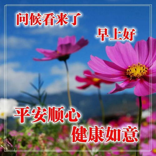 努力優(yōu)秀的正能量句子,優(yōu)秀團隊精神正能量的句子,與優(yōu)秀的人同行正能量句子