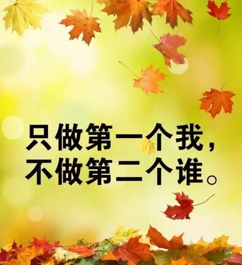 句子,激發(fā),能量,女人