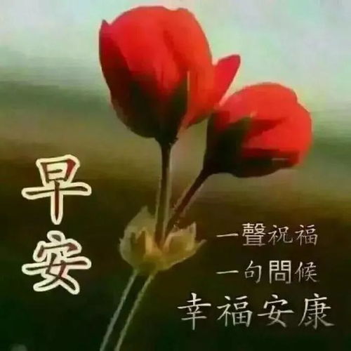 句子,滿(mǎn)滿(mǎn),能量,問(wèn)候