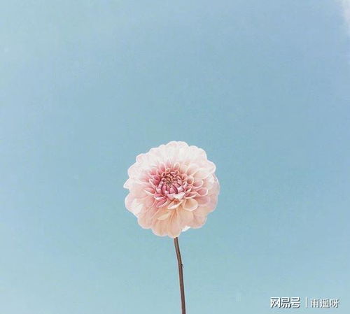上進(jìn),句子,能量,陽(yáng)光