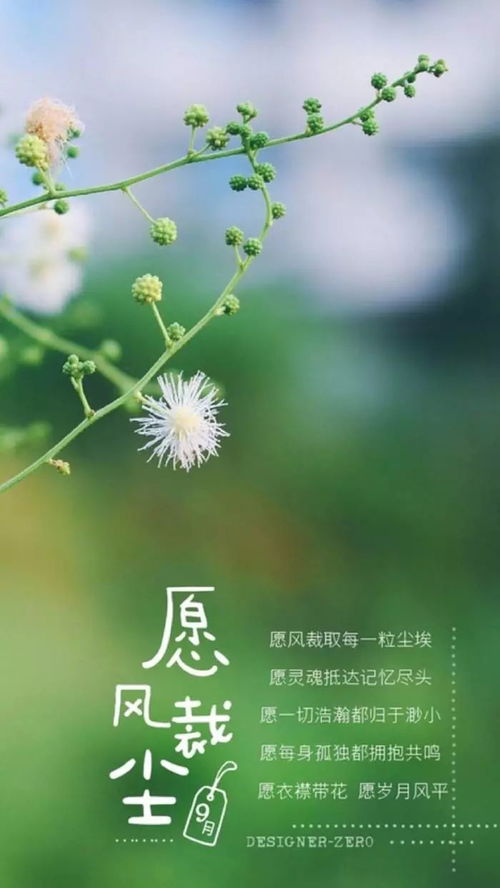 奮斗正能量勵(lì)志句子說(shuō)說(shuō)心情短語(yǔ)