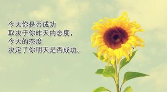 有積極向上正能量好句子