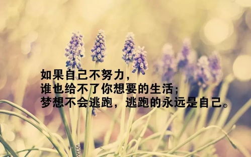 早上有內(nèi)涵朋友圈正能量句子