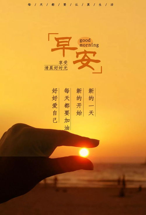 句子,能量,全集