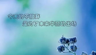 句子,心語(yǔ),能量,微商早