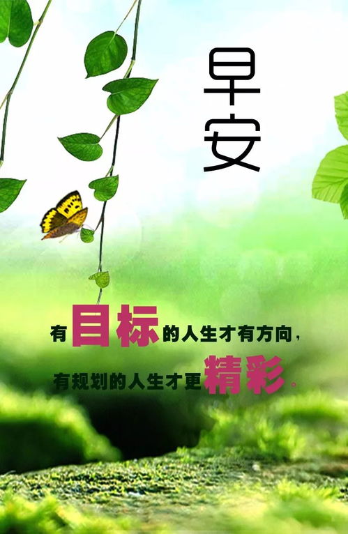 學(xué)生早安勵志正能量的句子
