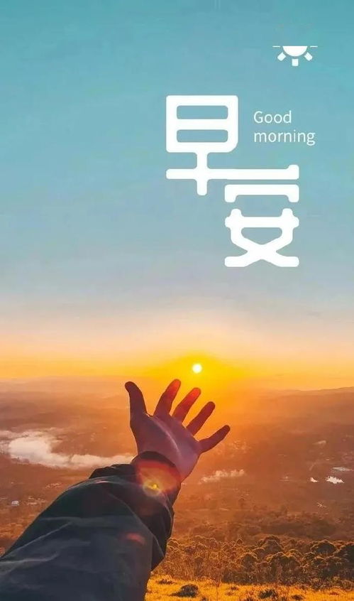 句子,勵(lì)志,能量,優(yōu)美