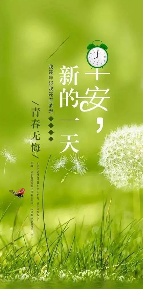 句子,能量,早晨,陽(yáng)光