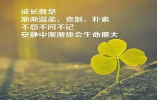 早安心語(yǔ)正能量句子大全