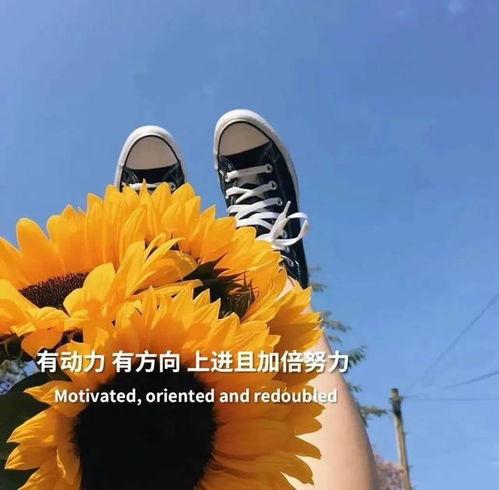 關(guān)于培訓結束的正能量句子