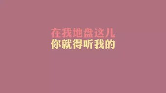 句子,勵志,能量,感情