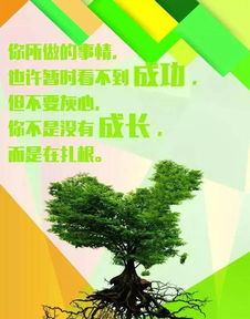 迎著(zhù)太陽(yáng)正能量句子