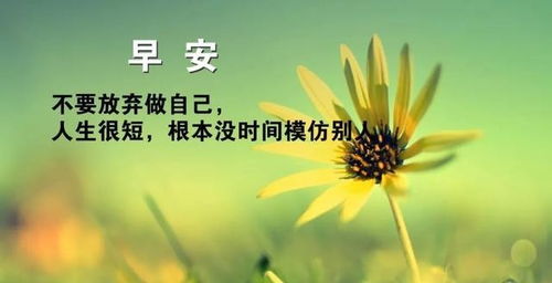 早安,句子,勵志,能量