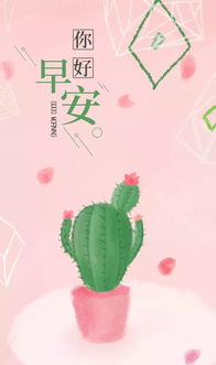 句子,能量,充滿,男孩