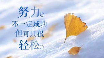 最新早安心語(yǔ)正能量句子