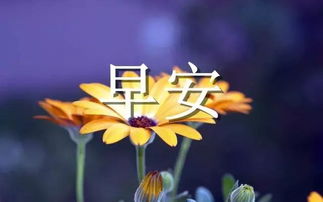 周末早安心語(yǔ)簡(jiǎn)單一句話(huà)正能量句子
