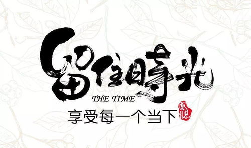 奮斗創(chuàng)業(yè)正能量的句子,女人創(chuàng)業(yè)正能量的句子,創(chuàng)業(yè)文案正能量句子