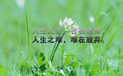 秋季早安語(yǔ)句正能量的句子,情人早安語(yǔ)句正能量的句子,早安語(yǔ)句正能量的句子