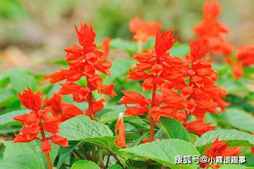充滿努力正能量的文藝句子
