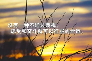 考研正能量句子簡(jiǎn)短,十月份正能量的句子經(jīng)典語(yǔ)句,生活陽(yáng)光正能量的句子簡(jiǎn)短
