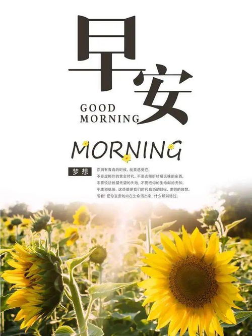 早安充滿(mǎn)正能量的句子10個(gè)字