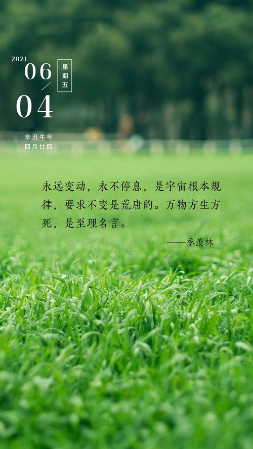 早晨陽(yáng)光的正能量唯美句子,早晨的句子發(fā)朋友圈正能量,早晨的陽(yáng)光正能量滿(mǎn)滿(mǎn)的句子