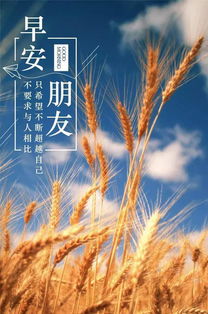 早安,句子,能量,銷(xiāo)售