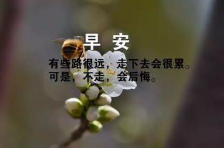 早安,句子,能量,心態(tài)