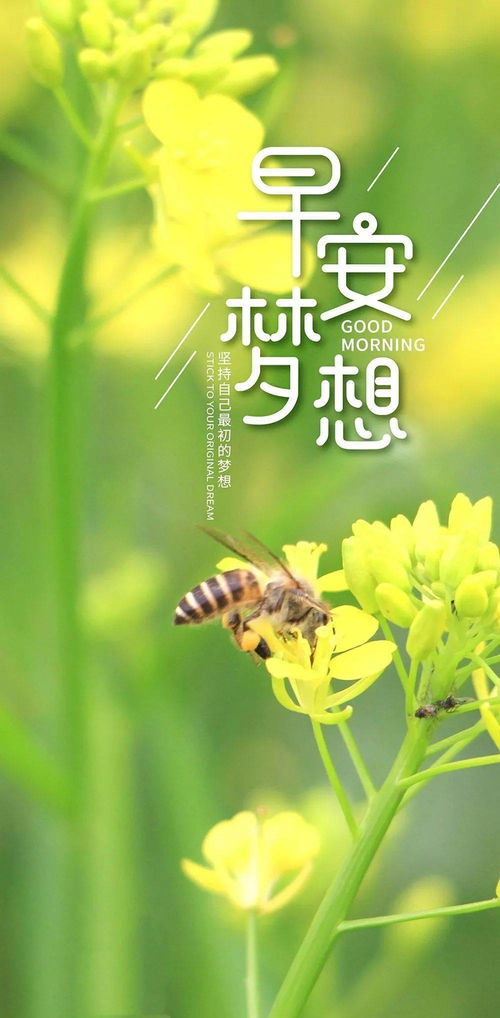 早晨激勵員工正能量的句子